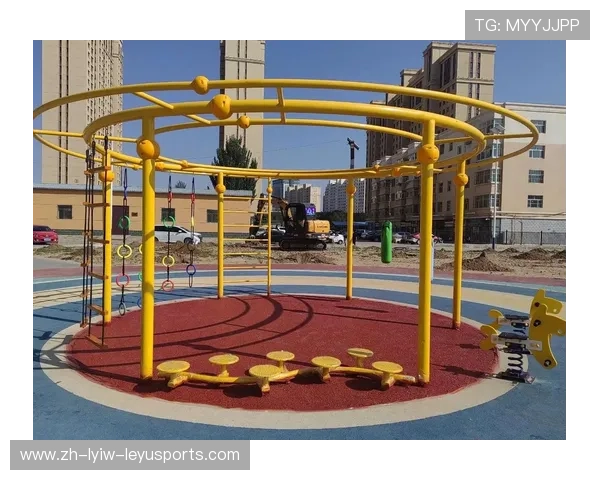 宁夏健身器材厂家介绍及其对当地体育产业的支持作用